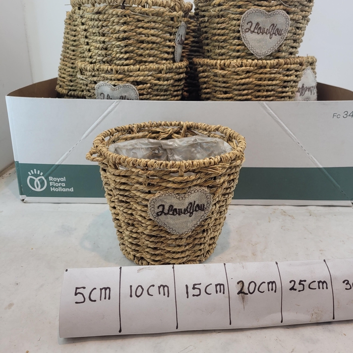 <h4>Mandwerk H%</h4>