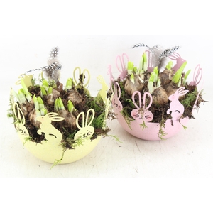 arr4 Narcis JS - Zink easter bowl 338/6