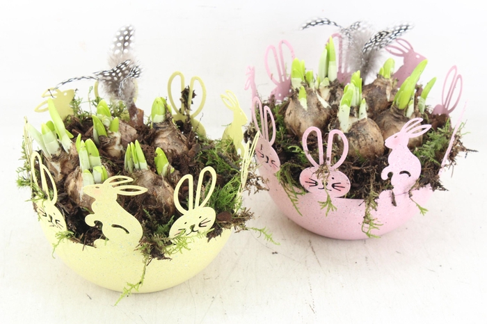 <h4>arr4 Narcis JS - Zink easter bowl 338/6</h4>