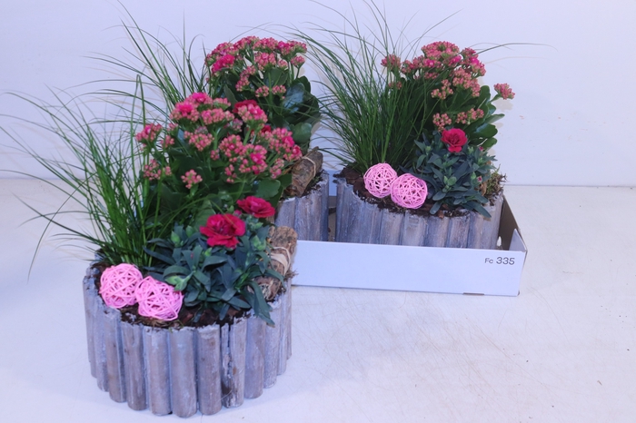 <h4>ARR TUINPLANTEN</h4>