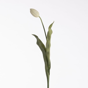 Af Tulip L69cm White