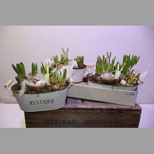 Arr Bol Knol In Zinken Teil Met Hengsel