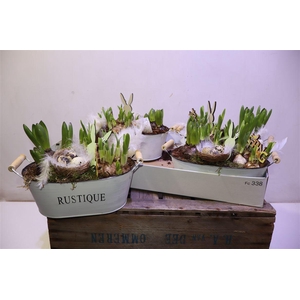 Arr Bol Knol In Zinken Teil Met Hengsel