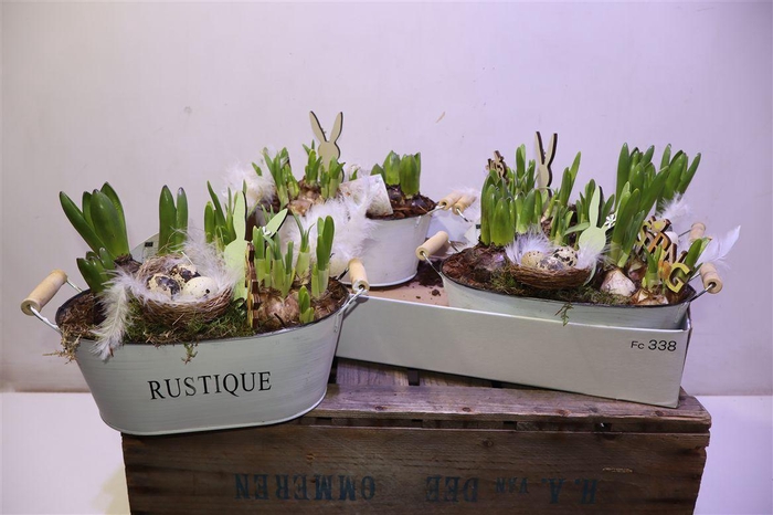 <h4>Arr Bol Knol In Zinken Teil Met Hengsel</h4>