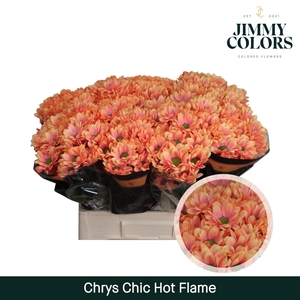 Chrys tros Chic Hot flame