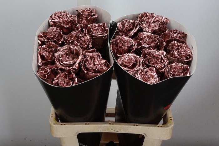 <h4>R Excl Wx Koper</h4>