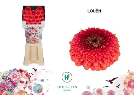 <h4>Ge Bv Gerponi Louen</h4>