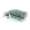 Fest Gl Compact Blue