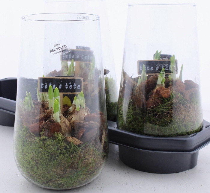 <h4>ARR N TETE A TETE</h4>