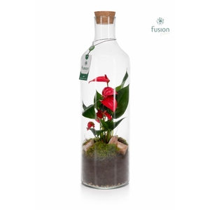 Green Bottle Fles Large met Anthurium
