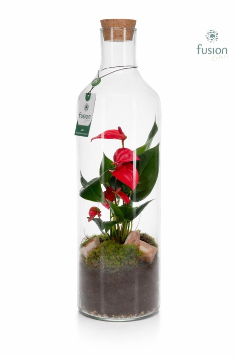 <h4>Green Bottle Fles Large met Anthurium</h4>