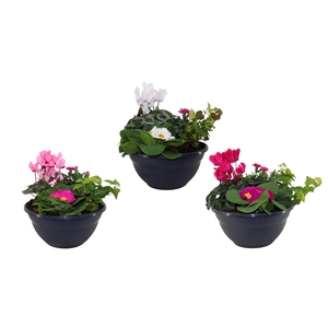 Arrangementen in 27 cm schaal