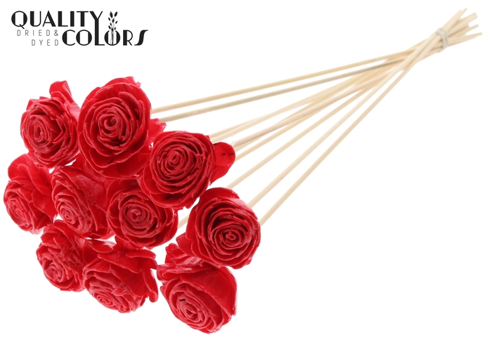 Shola Beauty Rose 6cm on stem Wax Red