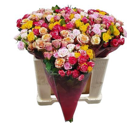 <h4>R Tr Gemengd In Bos</h4>