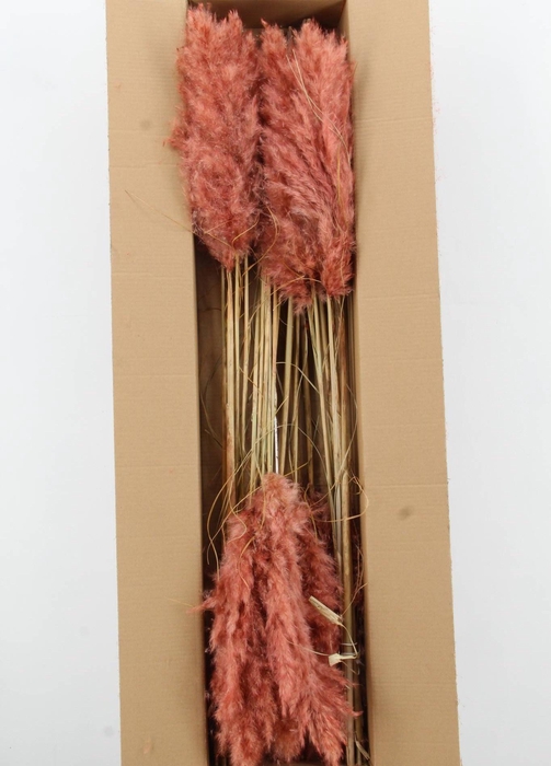 <h4>DROOGBL BEWERKT H%</h4>