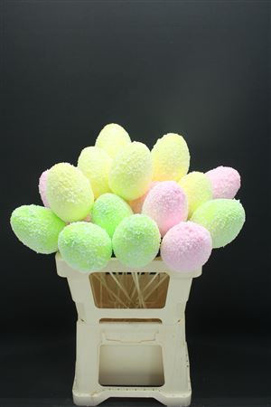 <h4>Foam Egg Color Stem</h4>