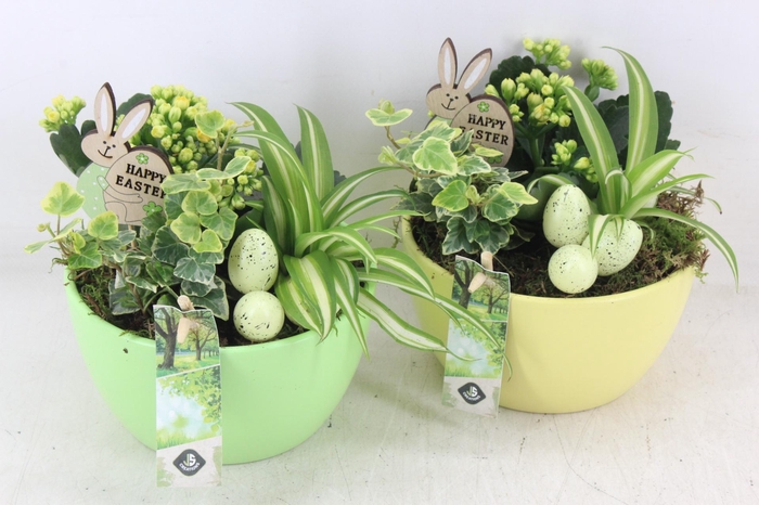 <h4>arr2 JS - Ker. bolschaal groen geel</h4>