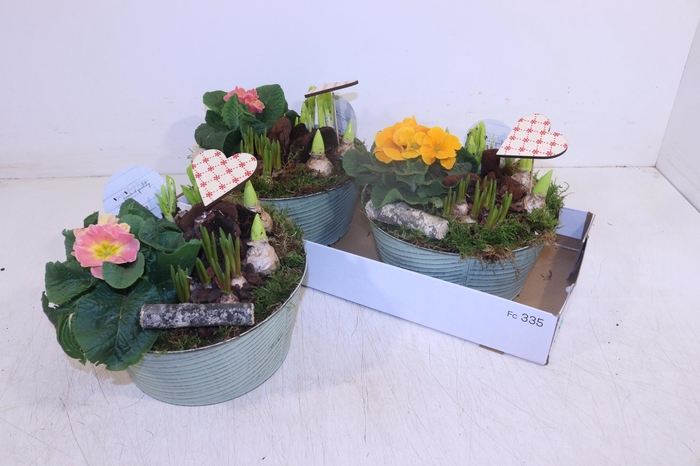 <h4>ARR TUINPLANTEN</h4>