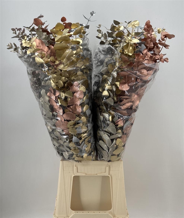 Euca Cinerea Metal Mix