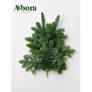 ABIES NOB BLAU BUND