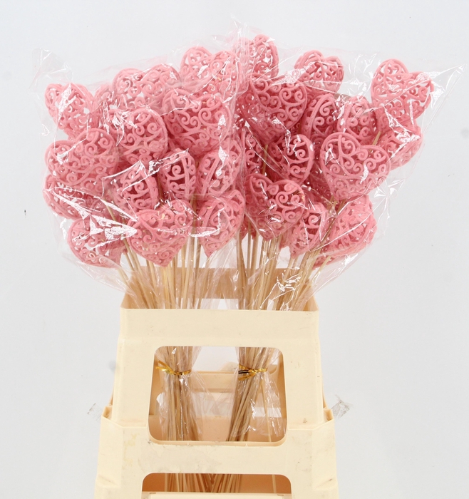 <h4>HARTJE OP STOK H%</h4>