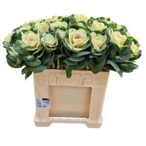 <h4>BRASS WHITE CRANE</h4>