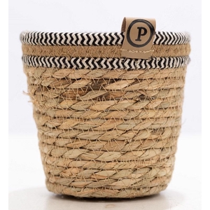 P&PURE Basket 6: 6x120 in doos