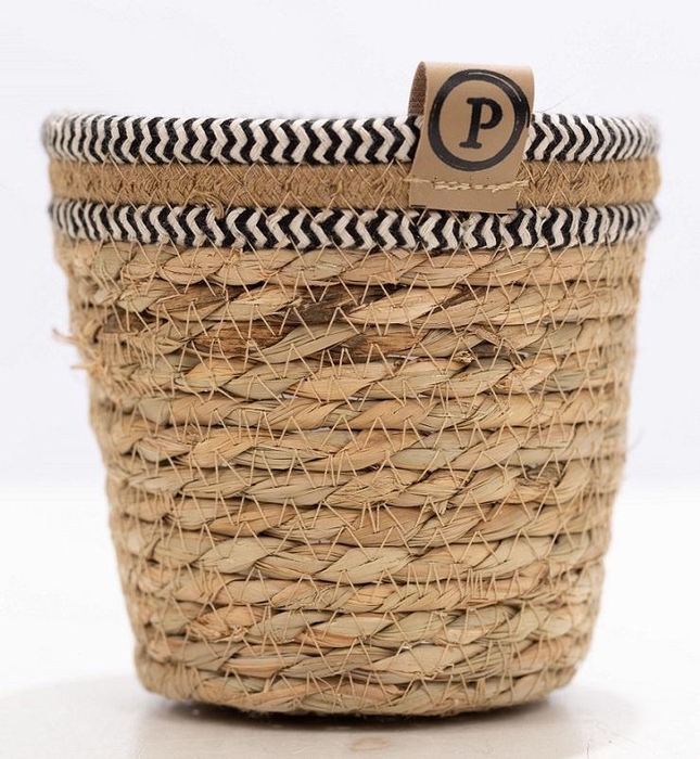 <h4>P&PURE Basket 6: 6x120 in doos</h4>