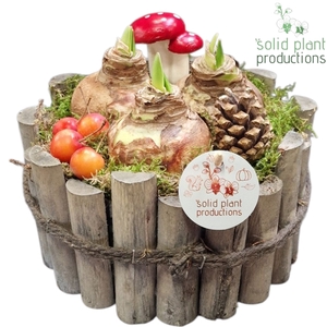AH002 Amaryllis Milano Large Grey