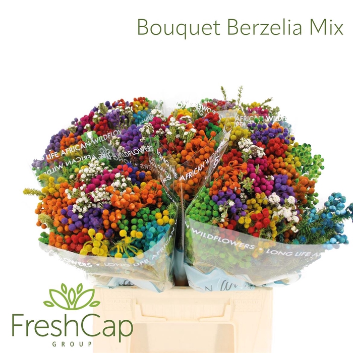 <h4>Bouquet Berzelia Mix</h4>