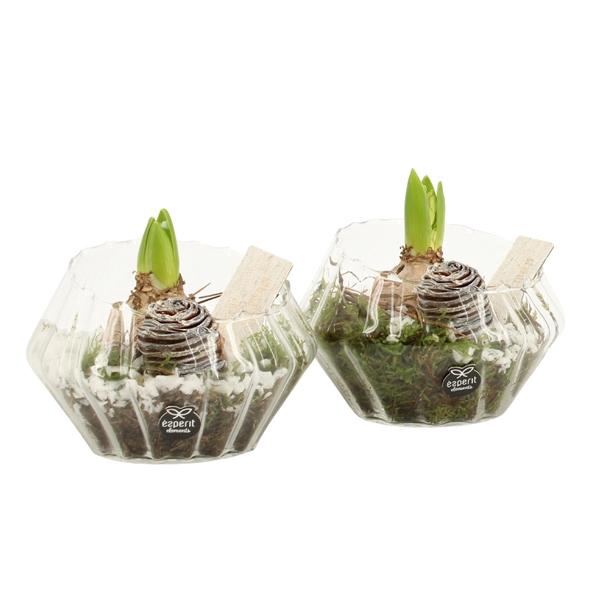 <h4>61960: X-mas arrangement</h4>