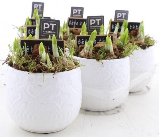 <h4>ARR N TETE A TETE</h4>