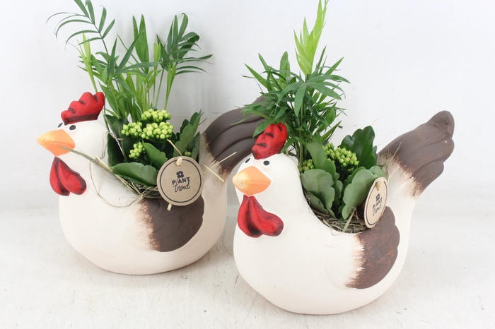 <h4>arr2 PL - Keramiek kip x5 mix</h4>