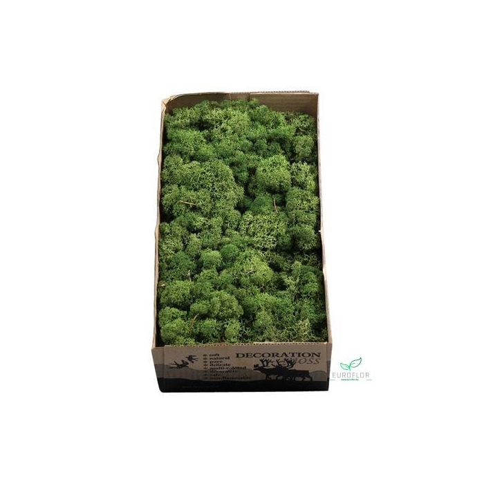 <h4>IJSLANDS MOS MOSGROEN</h4>