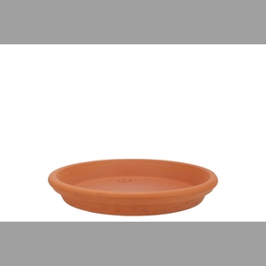 Terracotta Waterdish D21xh4cm