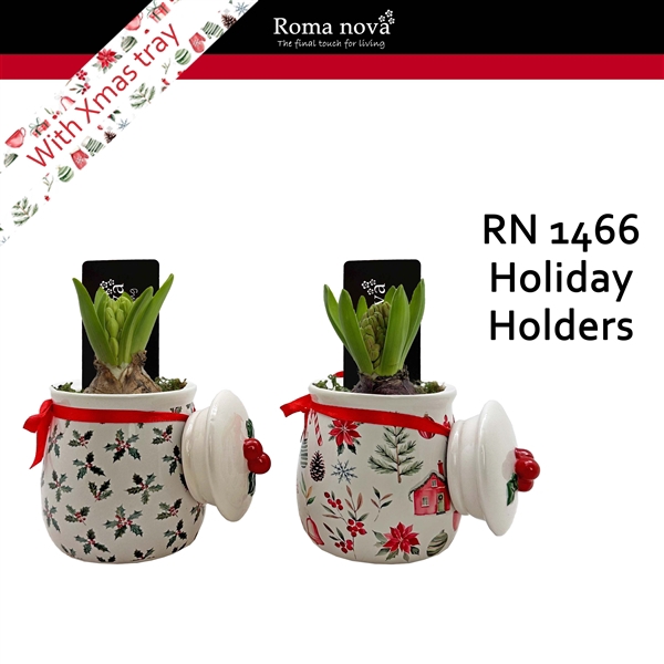 <h4>Arrangementen Hyacinthus 6%</h4>
