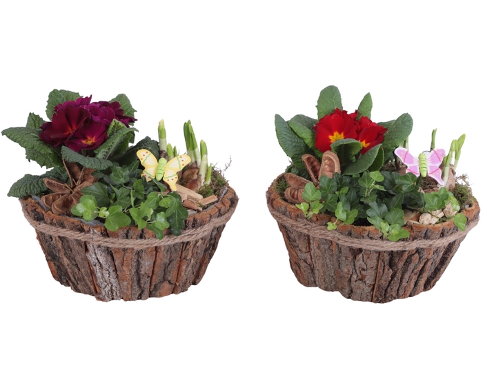 <h4>Early Spring Arr. Outdoor Wooden Natural Bark Pot Rope Ø24cm 3PP</h4>