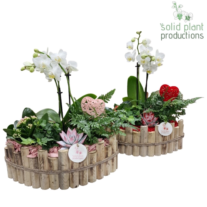 <h4>HVPE006 Napoli Large Red/Pink Mix</h4>