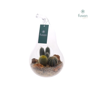 Glazen peer met Arrangement D17 H30