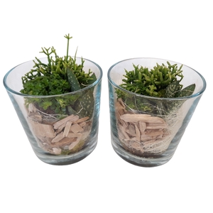213 NAT Minigroenmix Cilinderglas 13cm