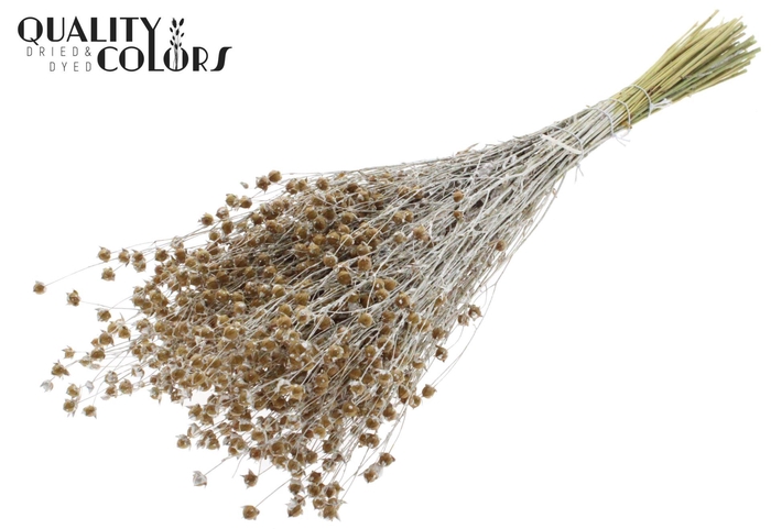 <h4>Droogbloemen   ...bewerkt H%</h4>