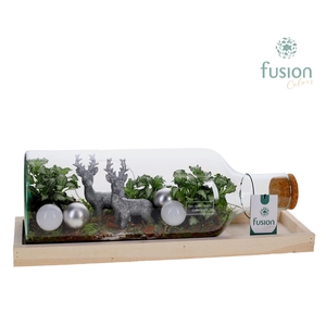 Green Bottle Fles Medium liggend Kerst met Arrangement