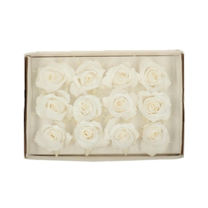 Preserved Rose 4cm