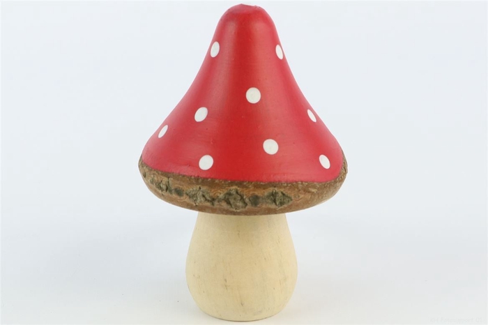 <h4>Mushroom Pixie H12d7</h4>