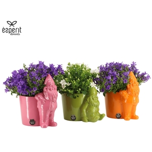 7503642: Solutionss Outdoor summer