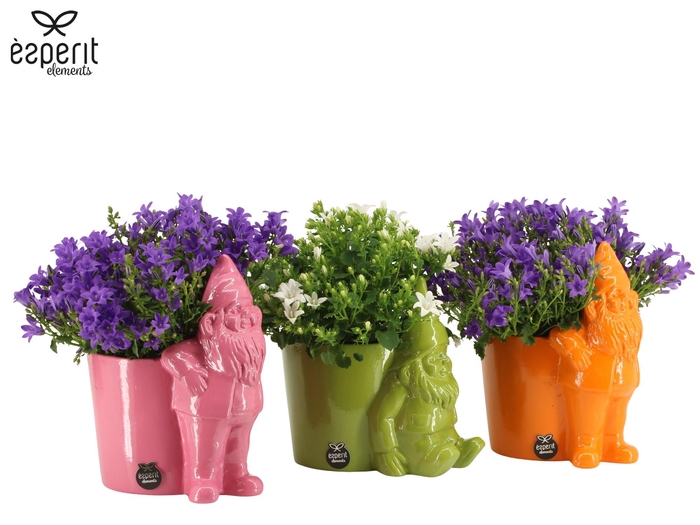 <h4>7503642: Solutionss Outdoor summer</h4>