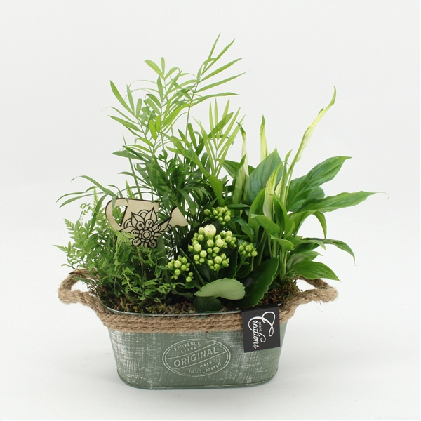 <h4>ESCR-2518W Essentials</h4>