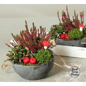 ARR TUINPLANTEN
