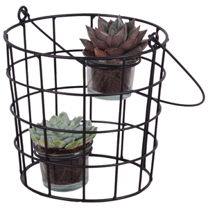 Succulent Metal Wirebasket with Glass 18 cm 2PP