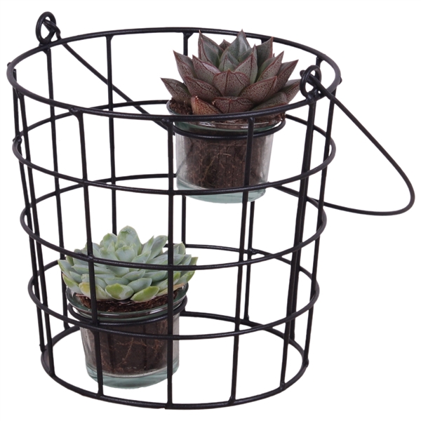 <h4>Succulent Metal Wirebasket with Glass 18 cm 2PP</h4>